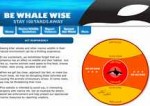 whalewise